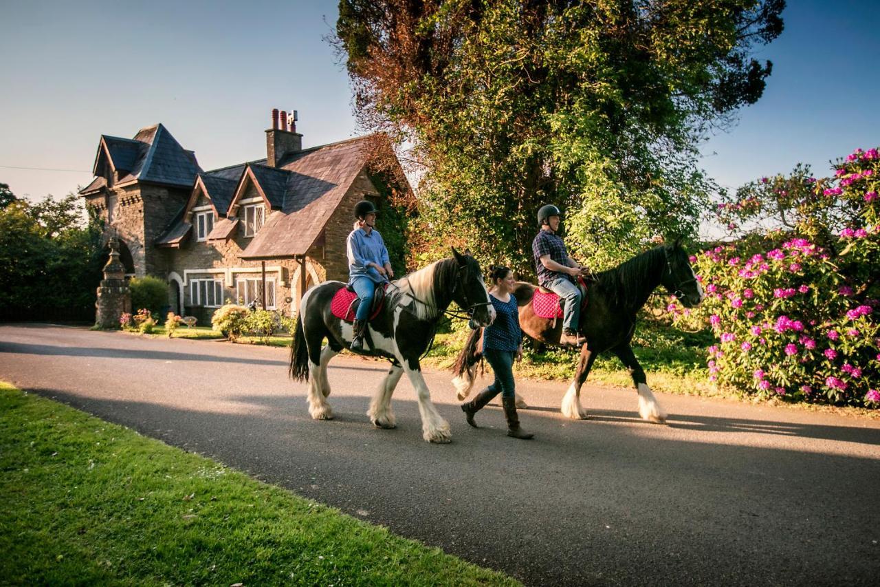 Beech Hill Hotel Londonderry Eksteriør bilde